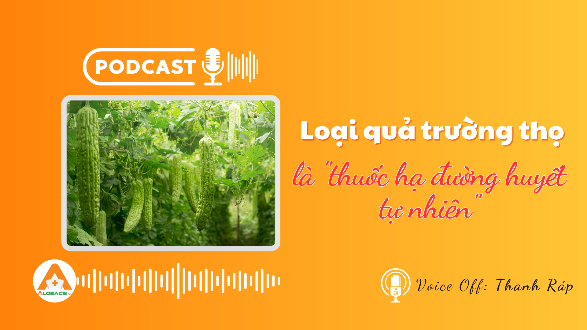 Loại quả trường thọ của người Nhật, là "thuốc hạ đường huyết tự nhiên": Có sẵn ở chợ Việt