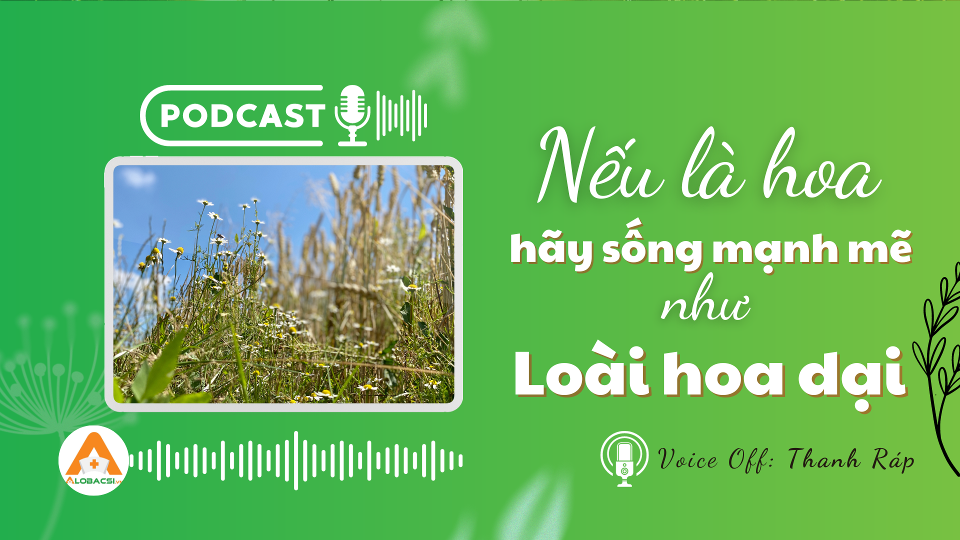Nếu là hoa, hãy sống mạnh mẽ như loài hoa dại