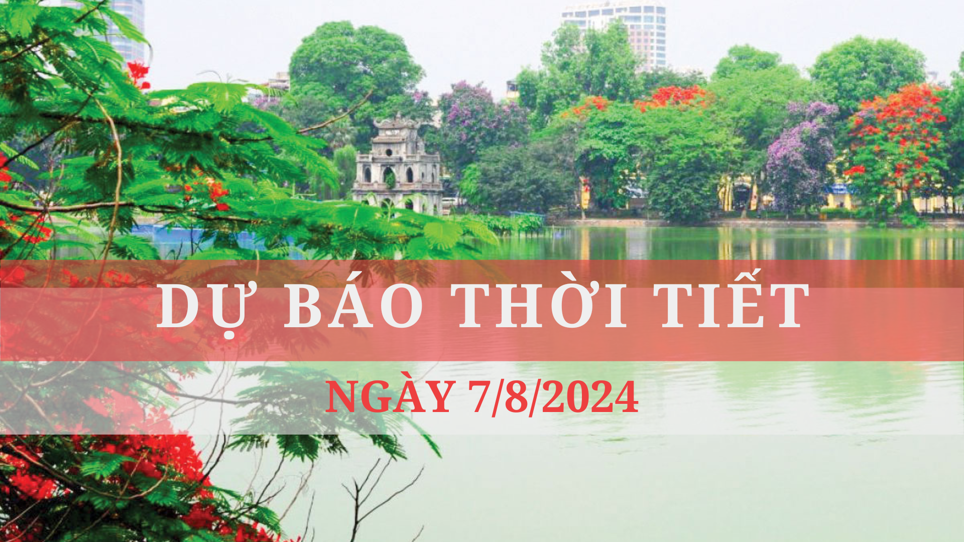 Dự báo thời tiết ngày 7/8/2024: Miền Bắc và miền Trung nắng nóng, miền Nam mưa rào