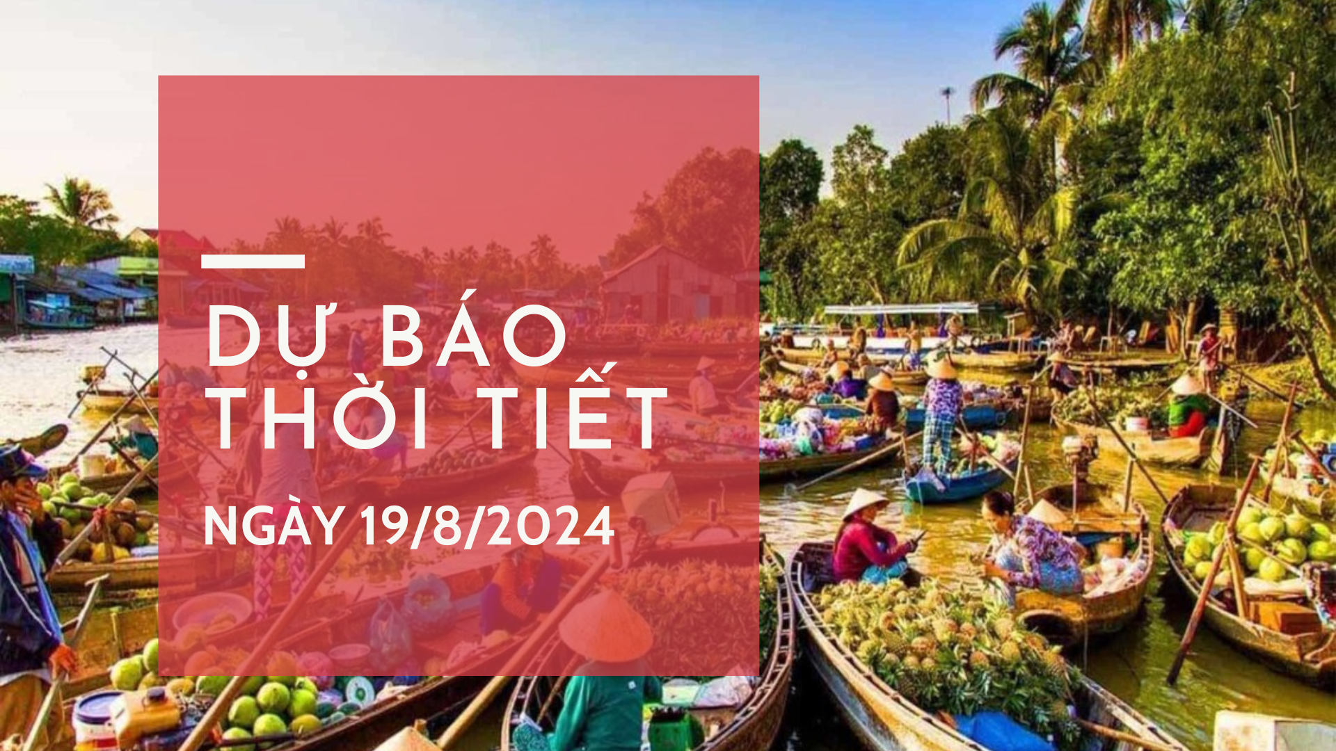 Dự báo thời tiết 19/8/2024: Mưa lớn diện rộng kéo dài ở Bắc Bộ, nắng nóng ở Trung Bộ và Nam Bộ