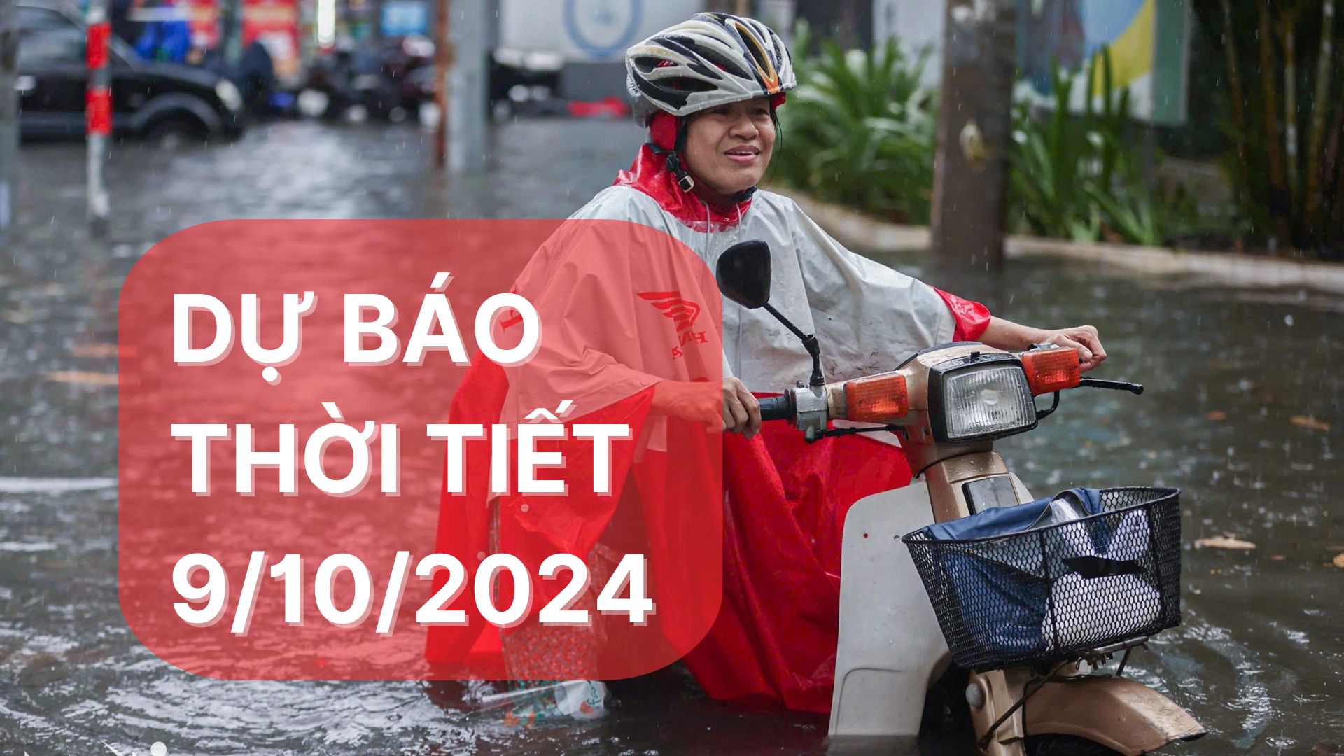 Dự báo thời tiết ngày 9/10/2024: Miền Bắc có nắng, mưa dông trải dài từ miền Trung đến miền Nam