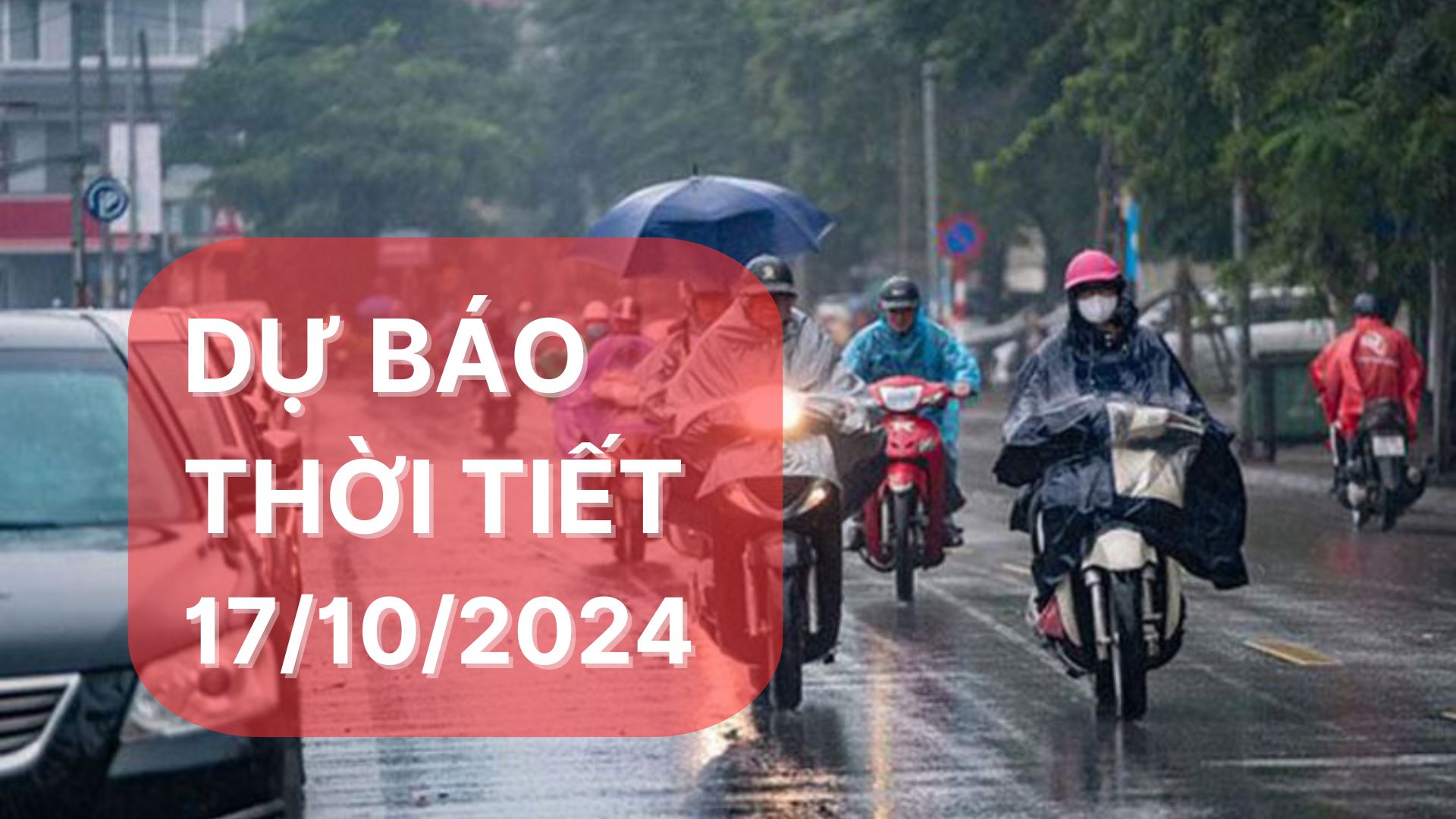 Dự báo thời tiết ngày 17/10/2024: Nhiều nơi ở Nam Bộ mưa to đến rất to về chiều tối
