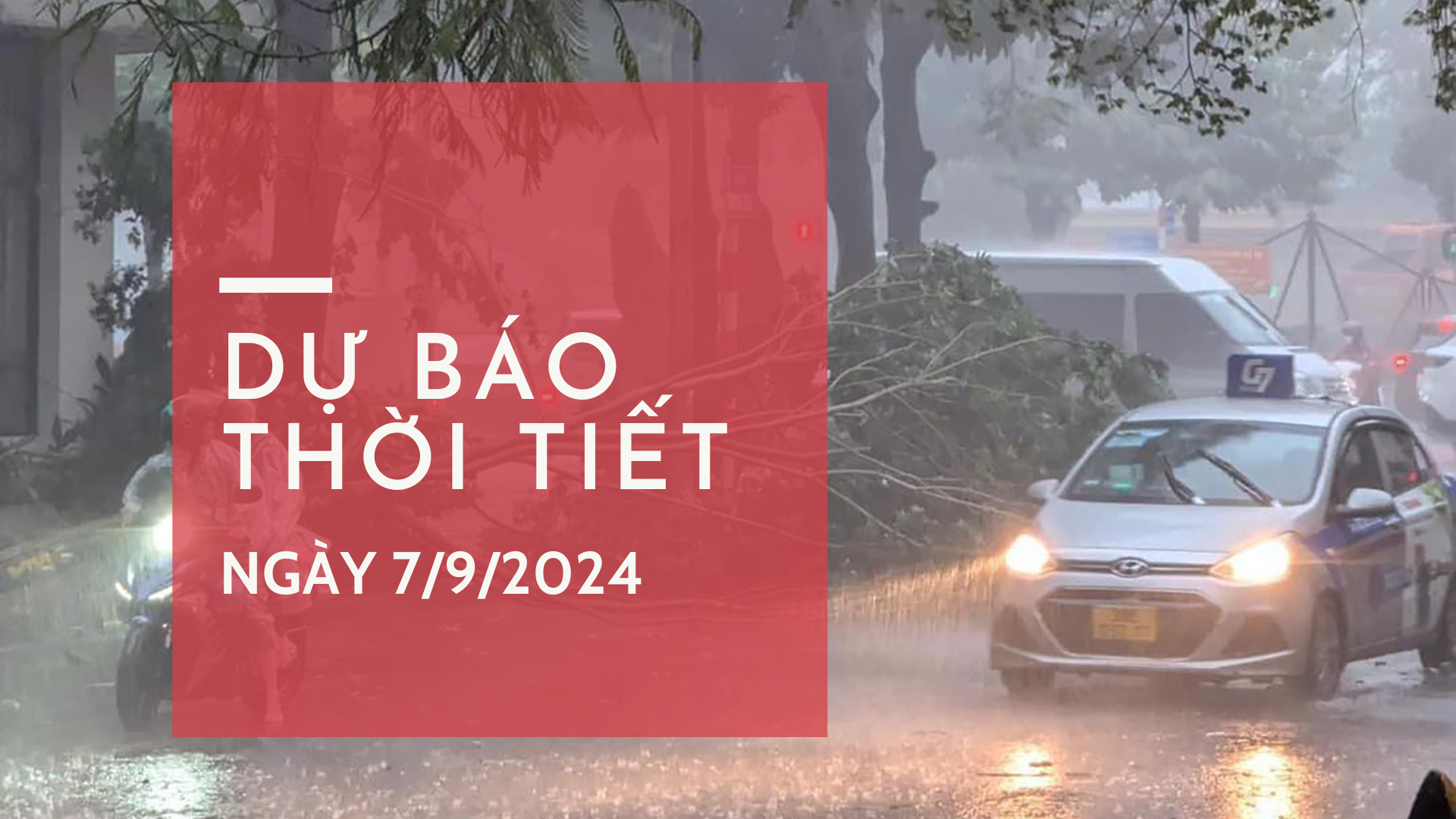 Dự báo thời tiết ngày 7/9/204: Miền Bắc mưa to kèm gió giật, TPHCM mưa giông lúc chiều tối
