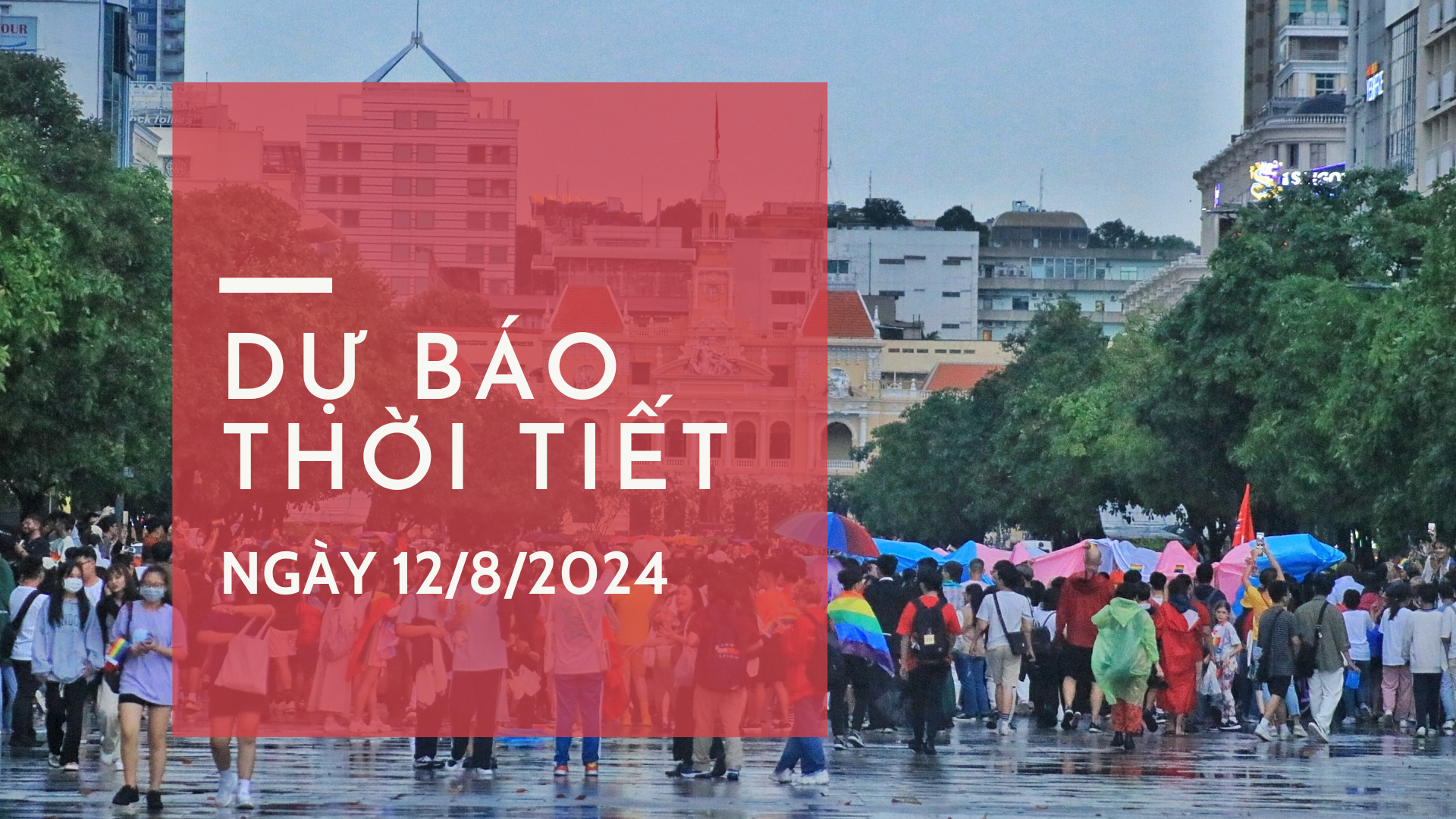 Dự báo thời tiết ngày 12/8/2024: Mưa to và dông ở Bắc Bộ, Nam Bộ mưa vào chiều tối