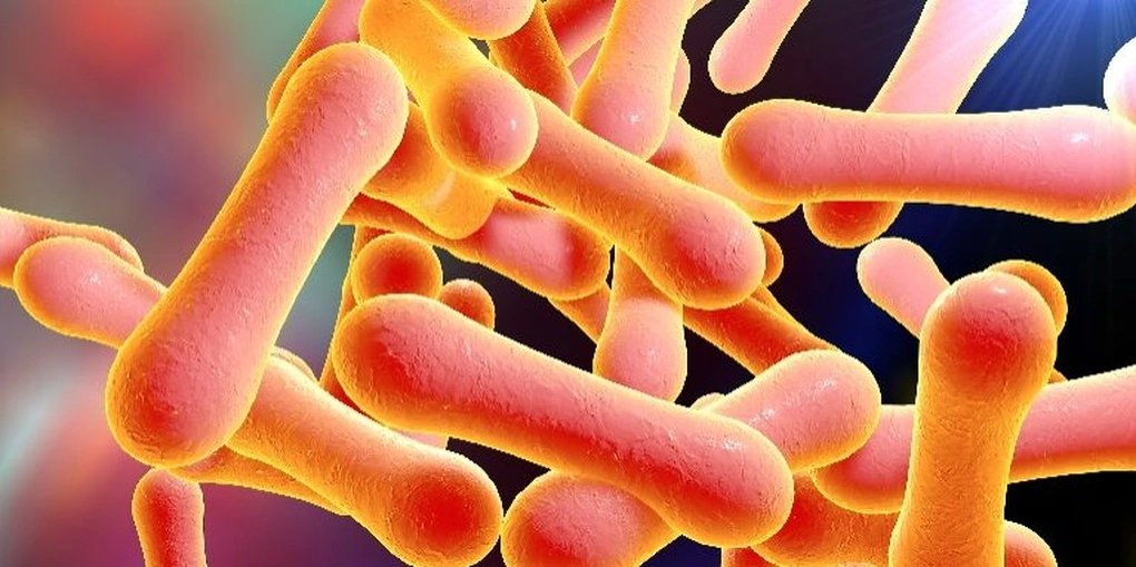 Bắc Giang: Nữ sinh mắc bệnh bạch hầu sau khi tiếp xúc với ca bệnh tử vong