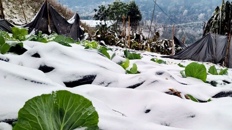 Dự báo thời tiết ngày 22/8/2024: Bắc Bộ tiếp tục hứng chịu mưa lớn, nắng nóng vẫn hoành hành ở Trung Bộ