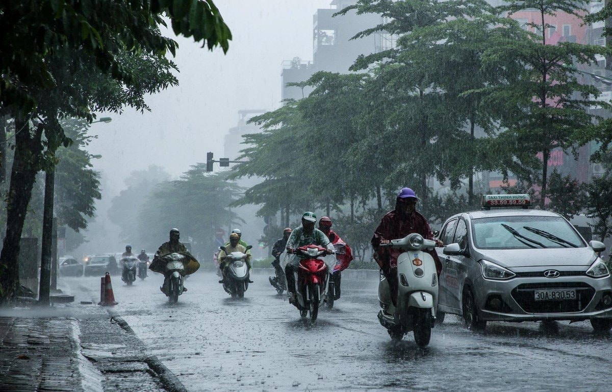 Dự báo thời tiết ngày 23/8/2024: TPHCM có mưa to vào chiều tối