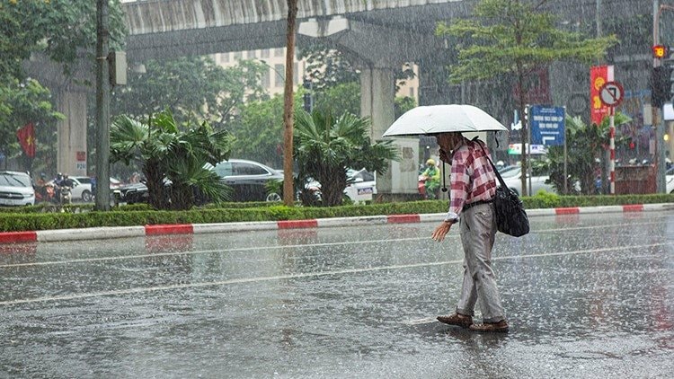 Dự báo thời tiết ngày 04/11/2024: Miền Bắc không khí lạnh tăng cường, miền Nam mưa rào