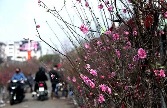 Dự báo thời tiết 26/7/2024: Bắc Bộ và Trung bộ nắng gay gắt, Nam Bộ mưa rào