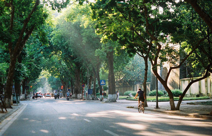 Dự báo thời tiết ngày 15/11/2024: Bắc Bộ ngày nắng, Nam Bộ có mưa vào chiều tối