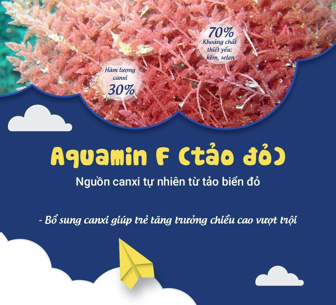 Aquamin F là gì? Tại sao nên bổ sung Aquamin F vào chế độ dinh dưỡng của trẻ?