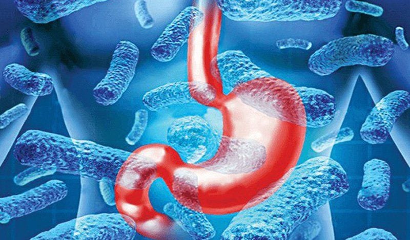 Tỷ lệ tái nhiễm Helicobacter Pylori có thể lên đến 30%
