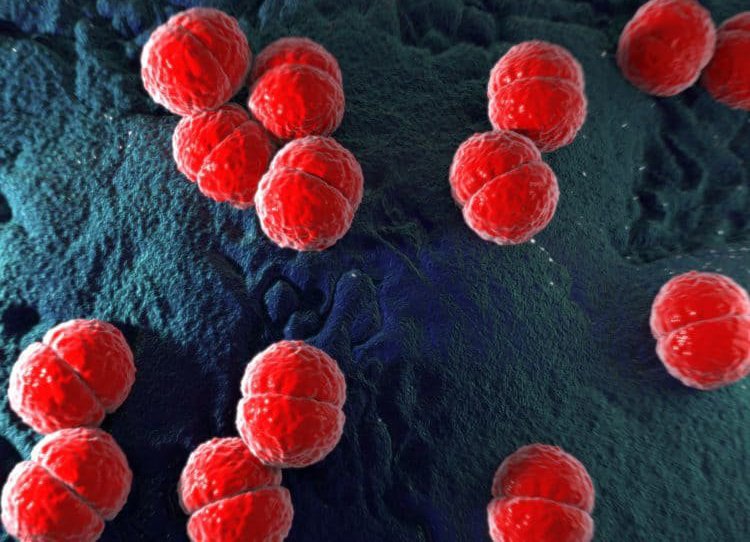 Thái Bình: Hơn 70 người tiếp xúc nam thanh niên mắc viêm não mô cầu